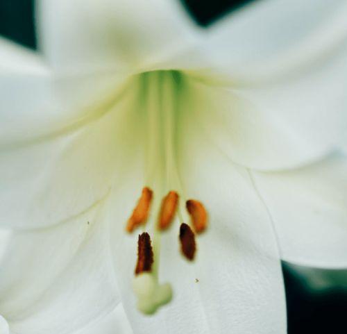 便做春江都是泪,千古绝唱的悲怆诗篇